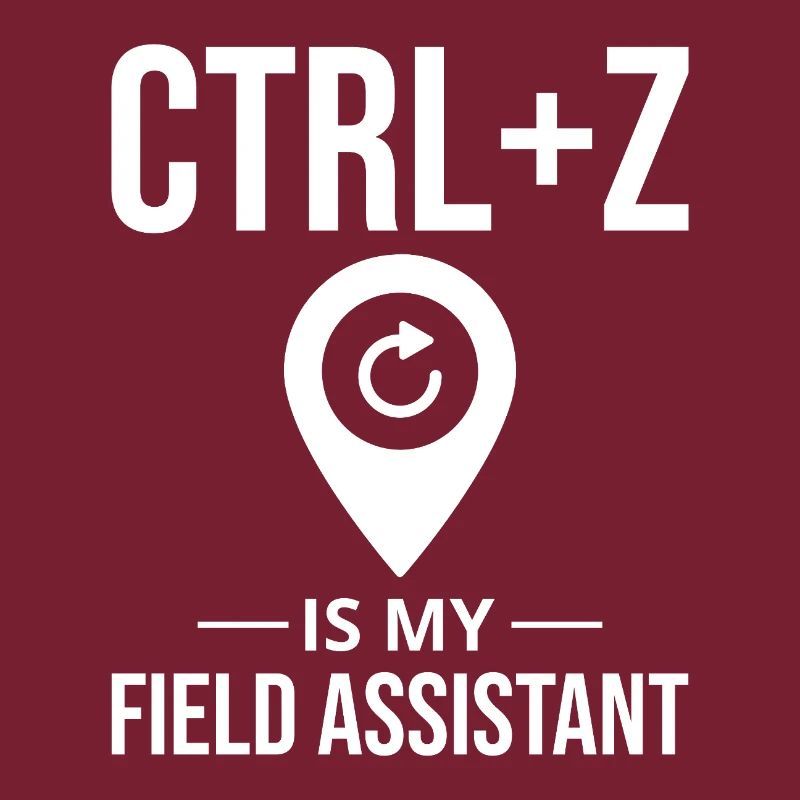 CTRL+Z Field Assistant Modification des données SIG Annuler