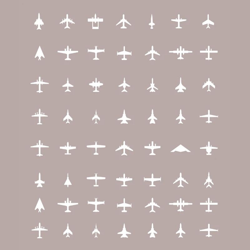 Pilot plane