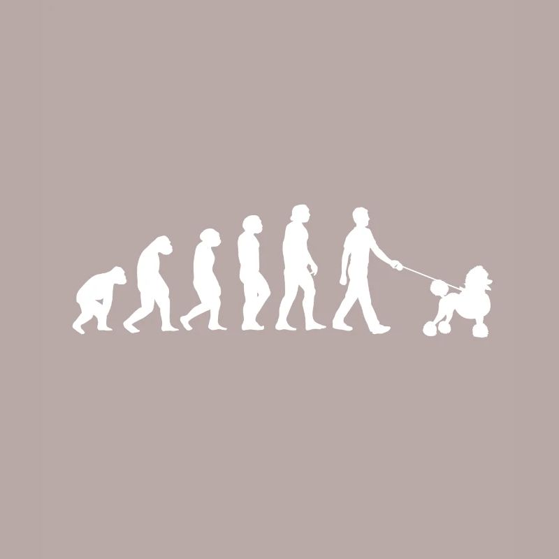 Evolution Poodle