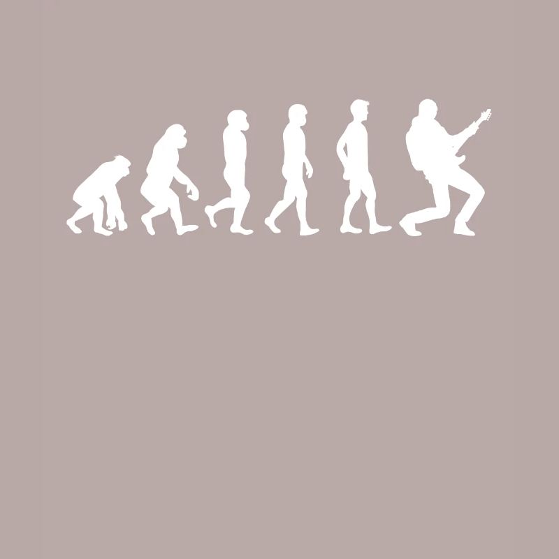 Evolution guitar