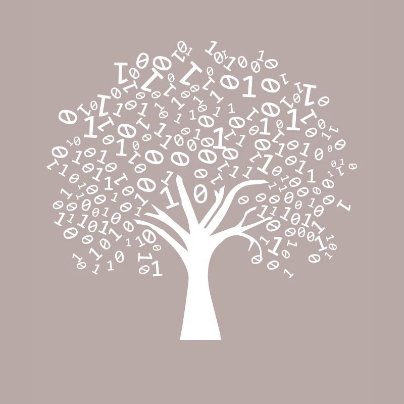 Programmierer Binärer Baum