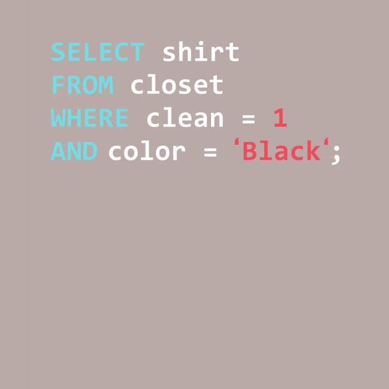 Programmeur Datanbank Funny SQL Query