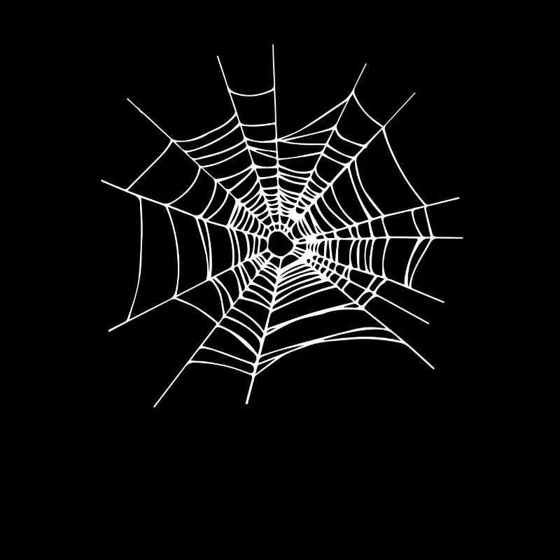 Halloween Araignées filet Cobweb Halloween Spiders