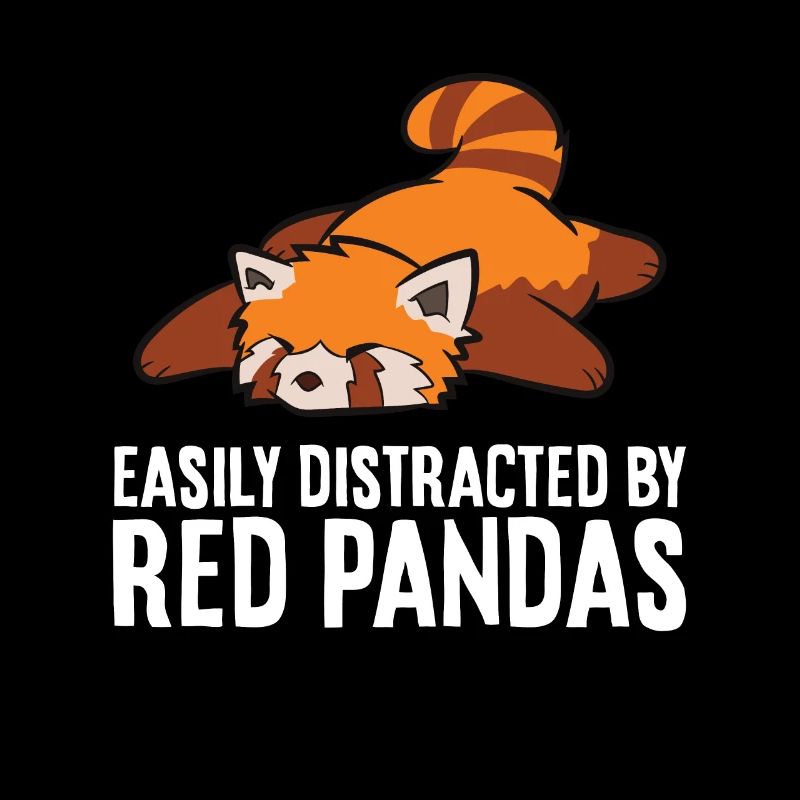Cute Sleeping Red Panda Zoo Easily Distracted By