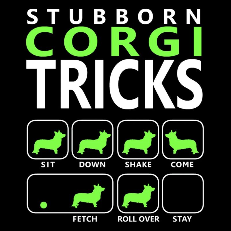 Hartnäckige Corgi-Tricks