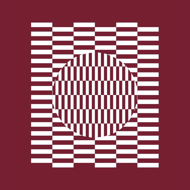 Visual grid perception illusion imagination