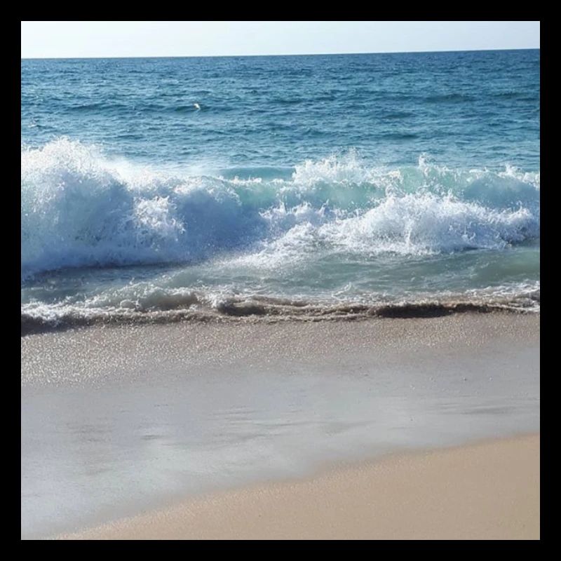 Waves