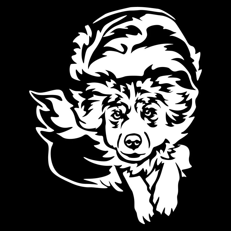 Australian Shepherd "Black Edition"