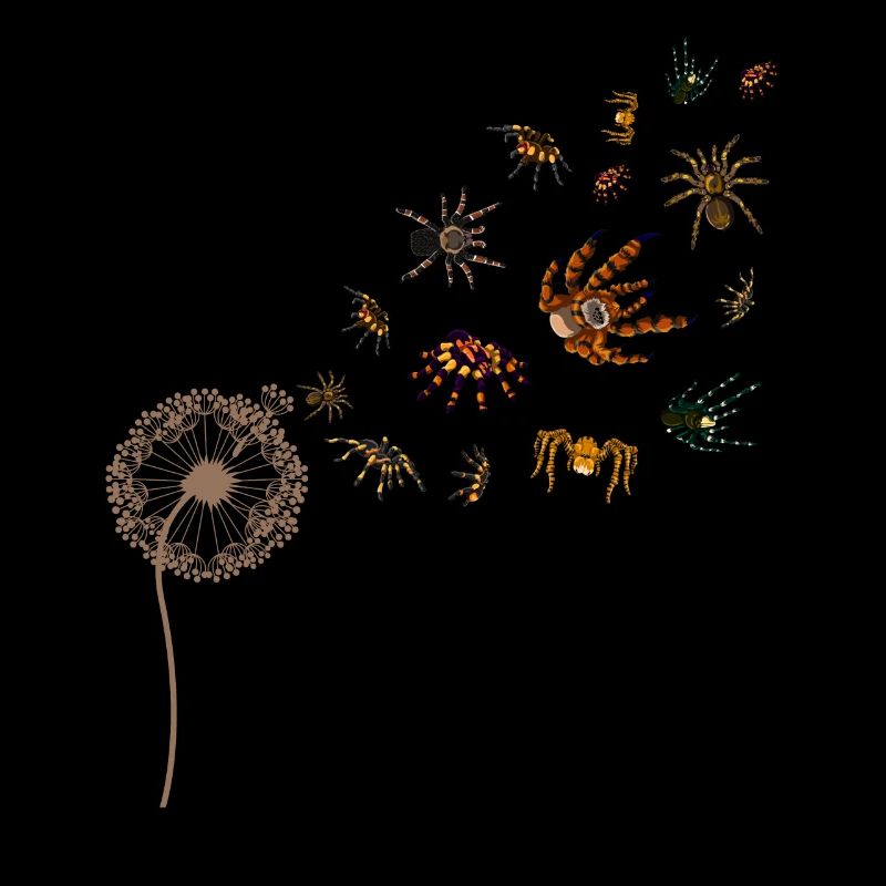 Arachnid Tarantula Gift Dandelion Spider