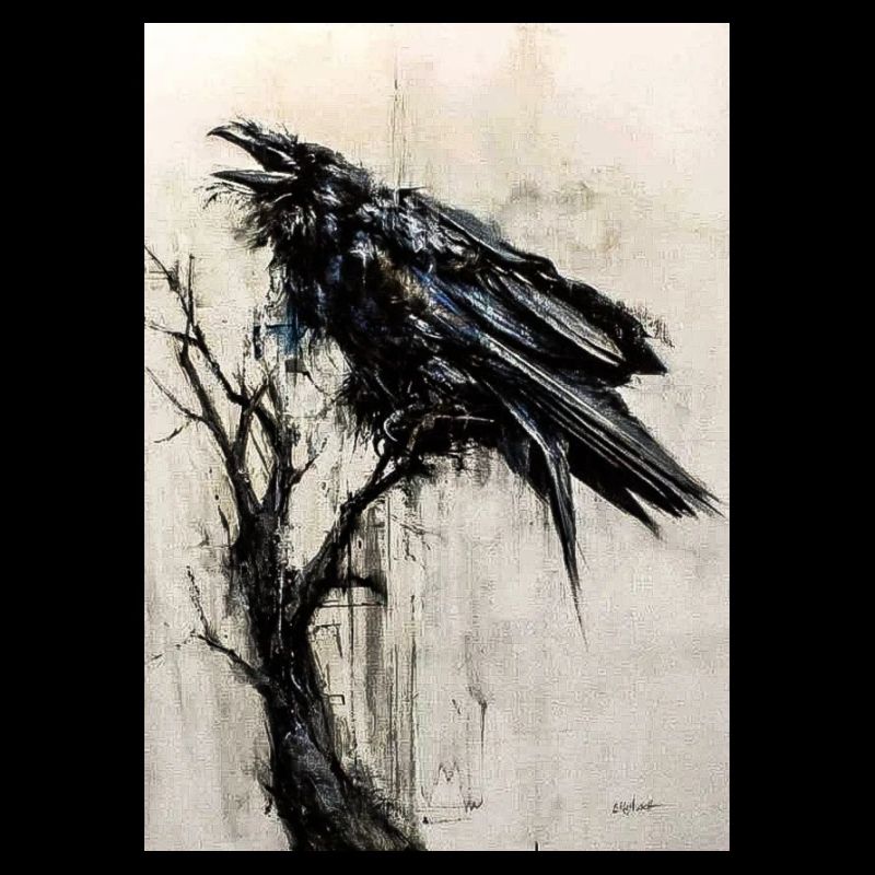 raven