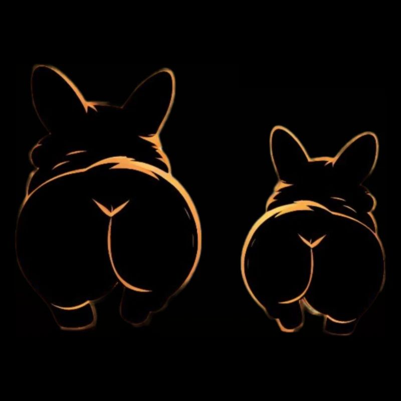 Zwei Corgis mit süßen Hintern