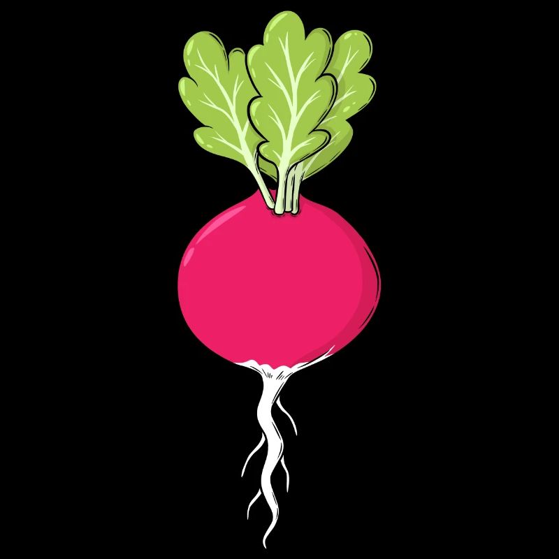 Rotes Radies mit Blättern Gemüse Radieschen