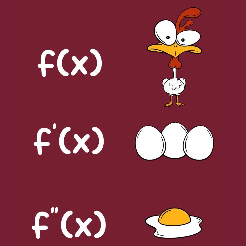 Math Derivation Chicken Student Teacher Gift