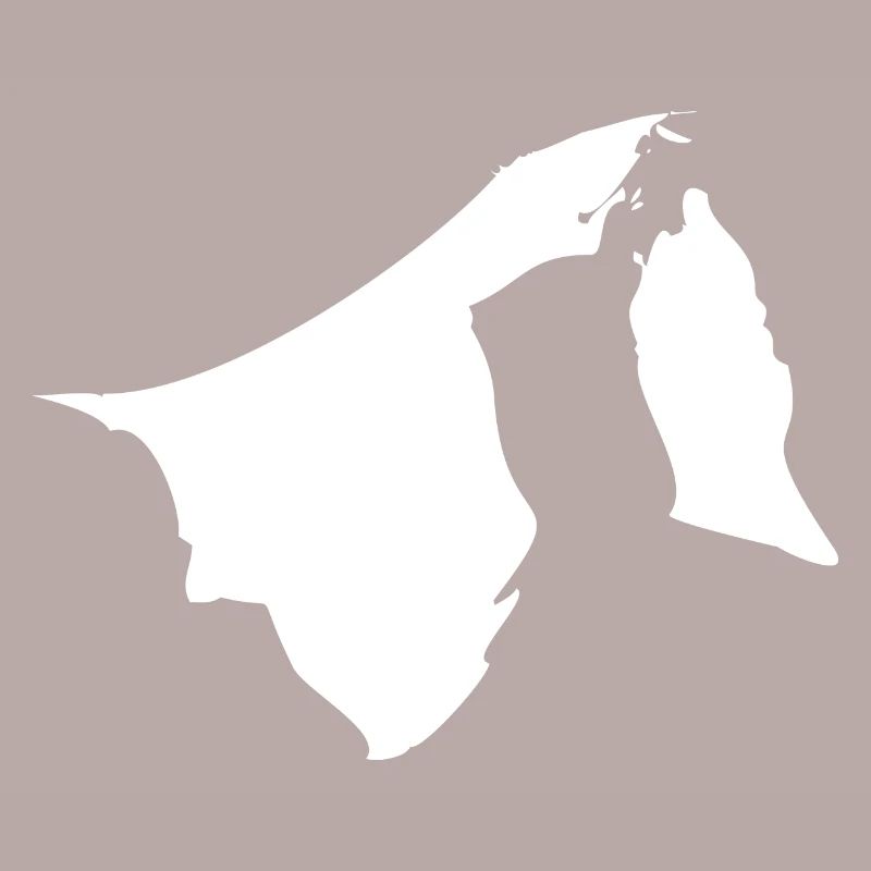 Brunei map flag