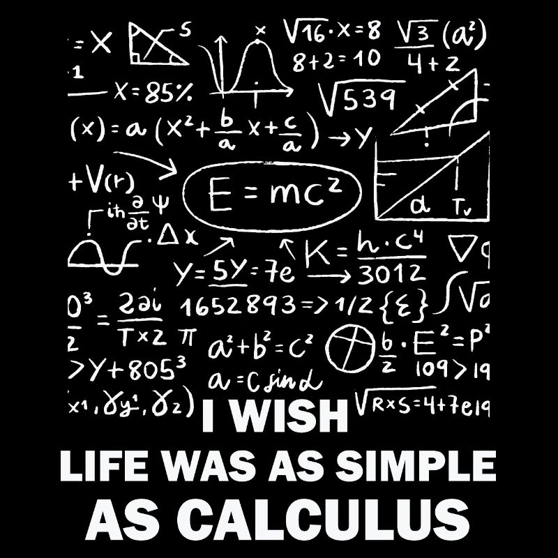 Funny Math Quote Math Teacher Math Sayings