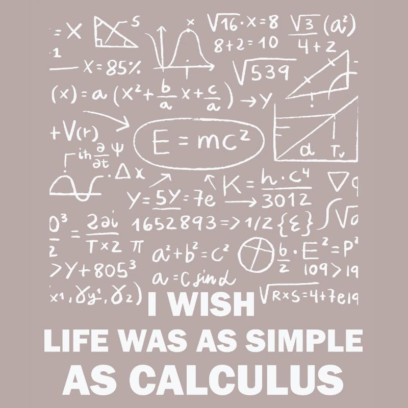 Funny Math Quote Math Teacher Math Sayings