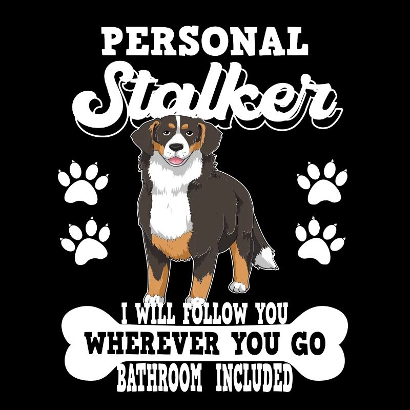 Berner Sennenhund Schweizer Hund