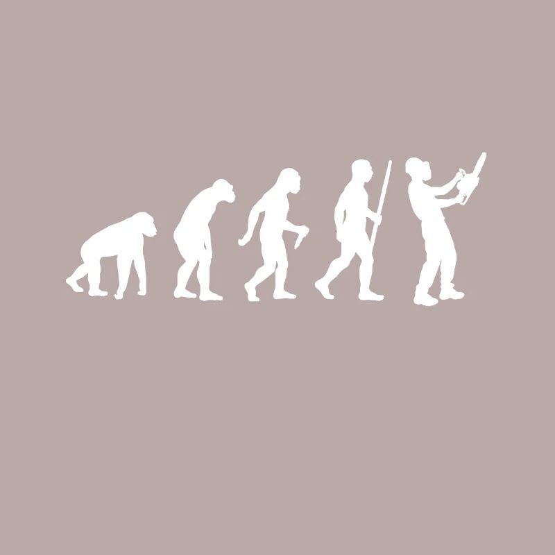 Tronçonneuse Kettensäge Evolution