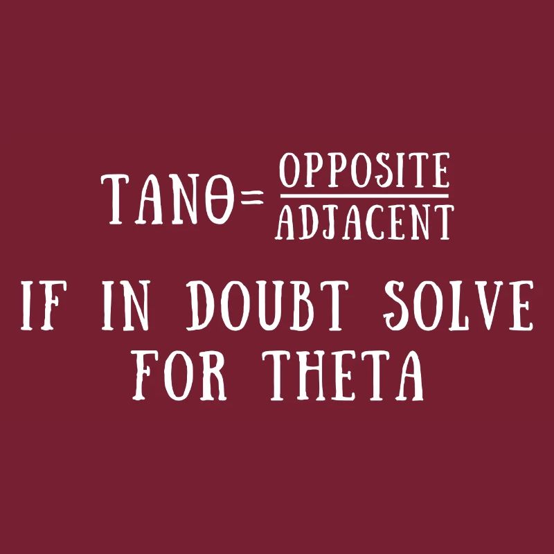Funny Trigonometry Quote | Math Lovers Gifts