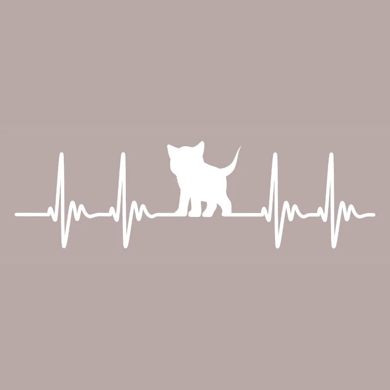 Chat chat chat oreiller idée cadeau