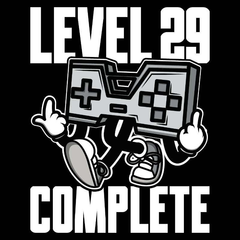 Level 29 Complete Geburtstagsgeschenk 29 Jahre