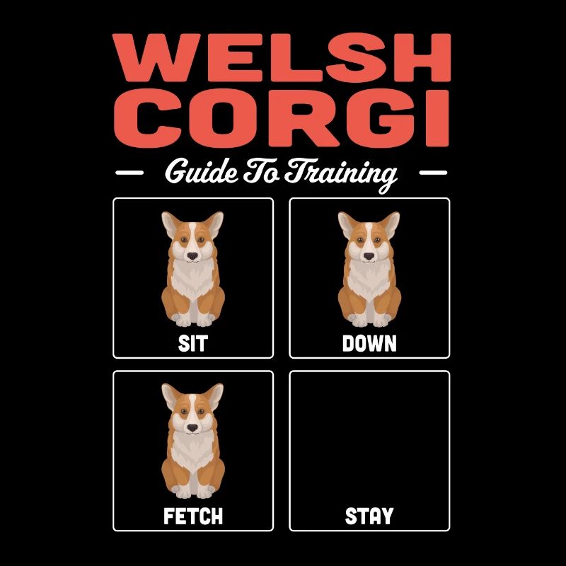 Welsh Corgi