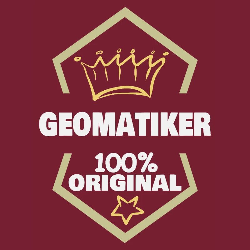 Work Geomatics Engineer