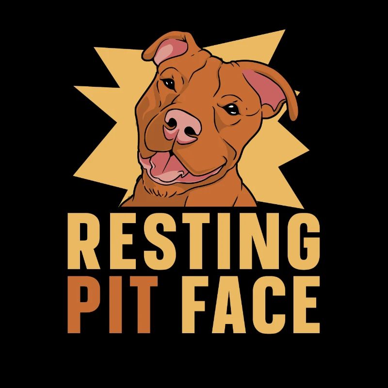 Pitbull Pitbull Verbot Resting Pit Face