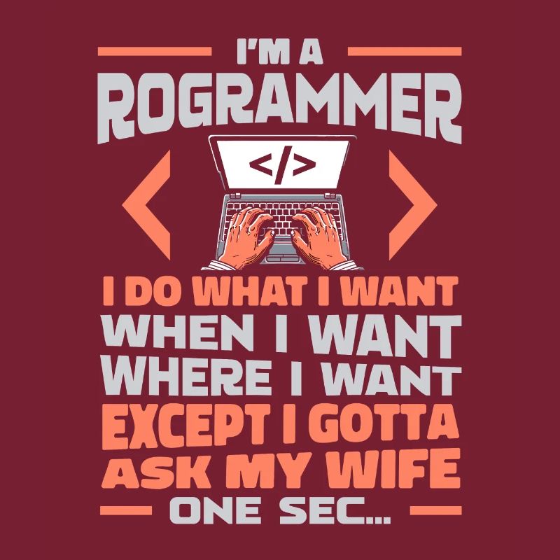 Développeur, Codeur, Programmeur