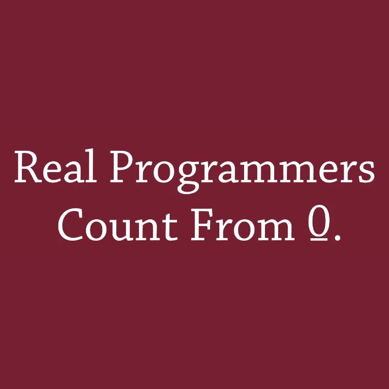 Programmer Coder Software Developer