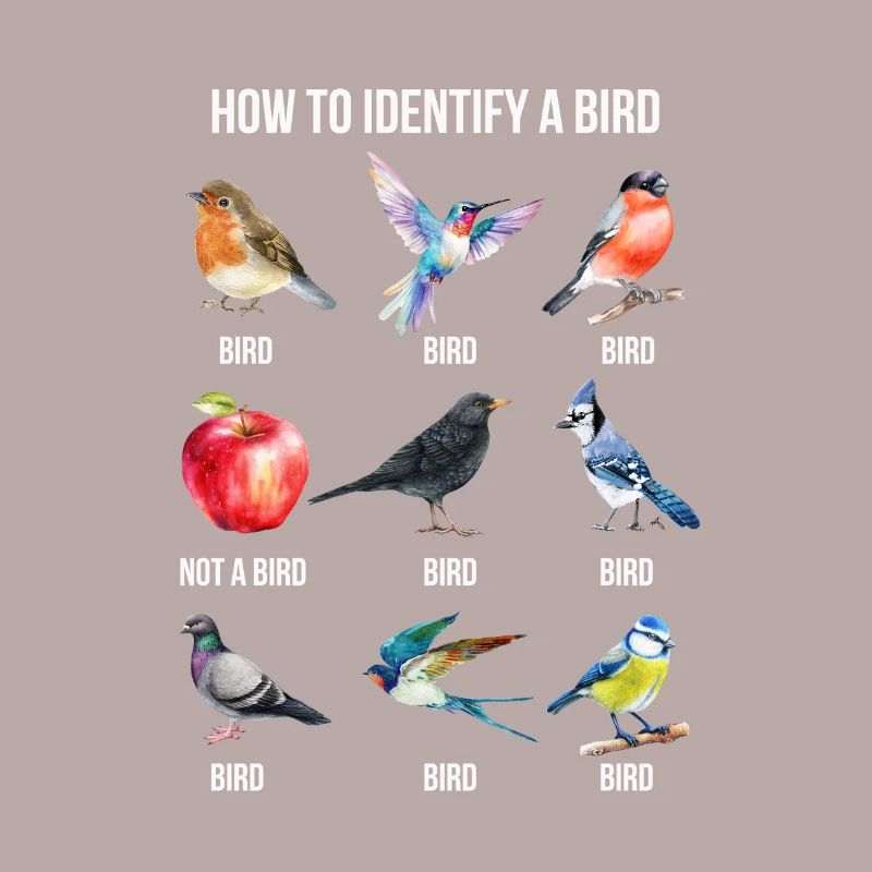Funny Bird Nerd Design Comment identifier un oiseau