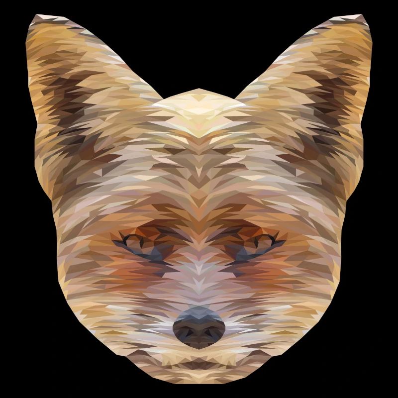 Fox Polygon