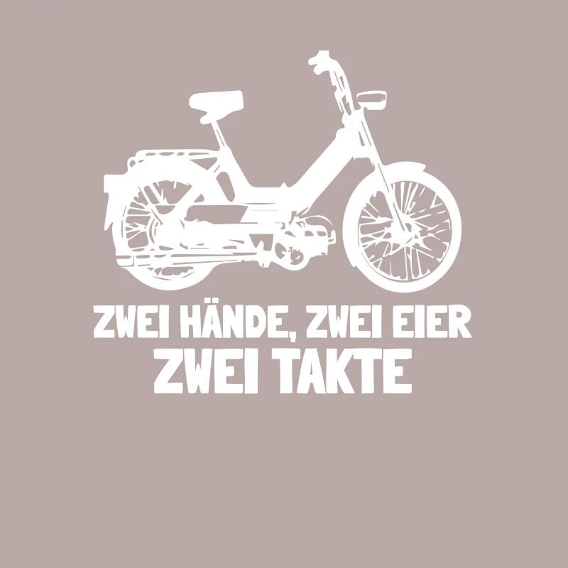 DDR Moped Oldtimer Roller Mofa Scooter 2 Takter