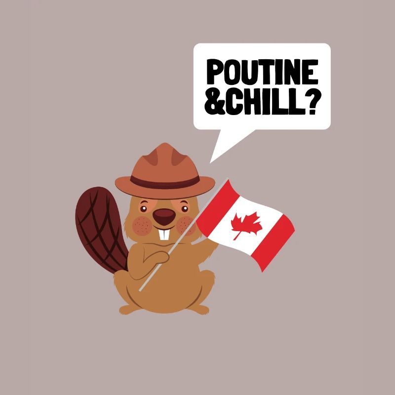 Cheese Curds Gravy Mix Canada Poutine