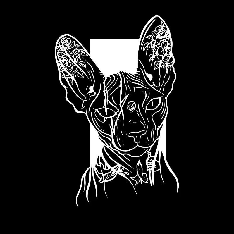 Sphinx Cat Lover Race de chat sans poils