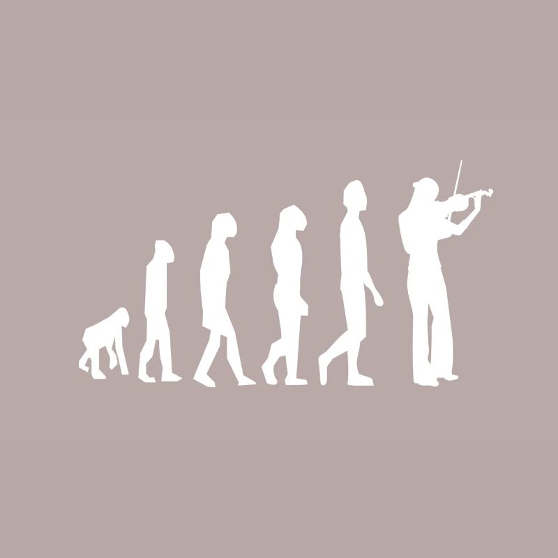 Violin violin violinist violinist evolution