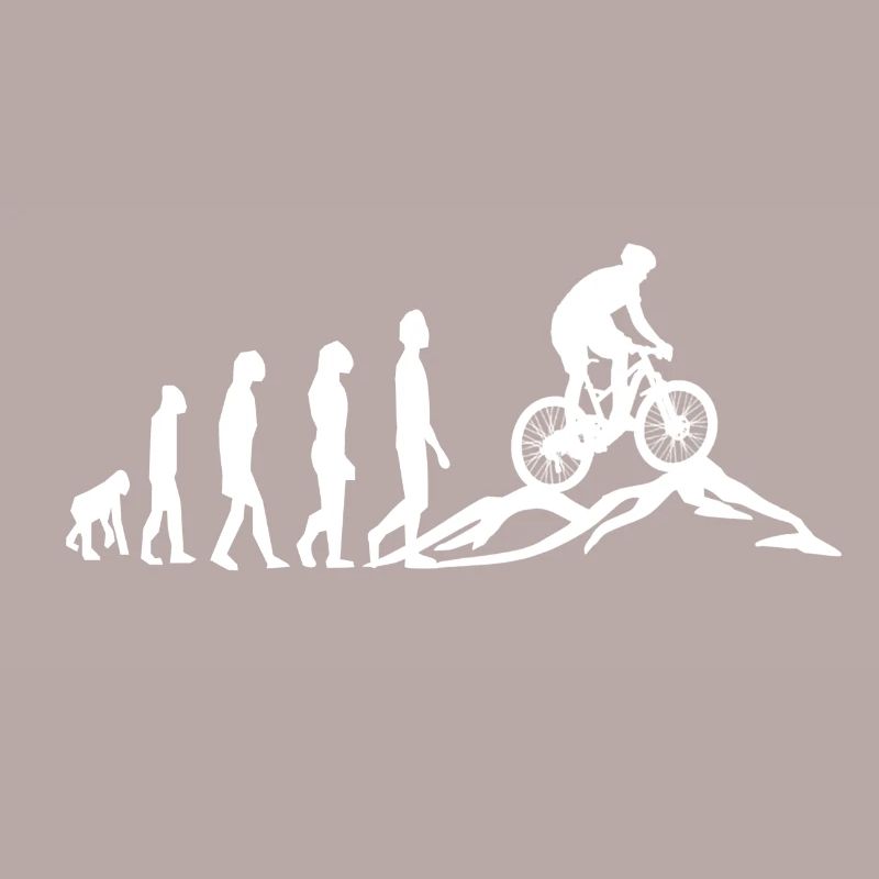 VTT VTT Evolution Biking
