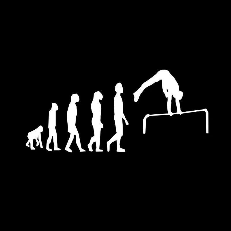 Reckturnen Turnen Reck Evolution