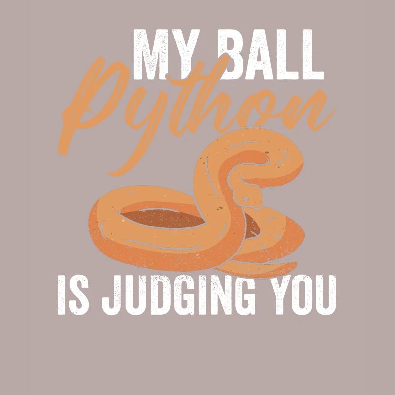 Python Königspython Banana Ball Python