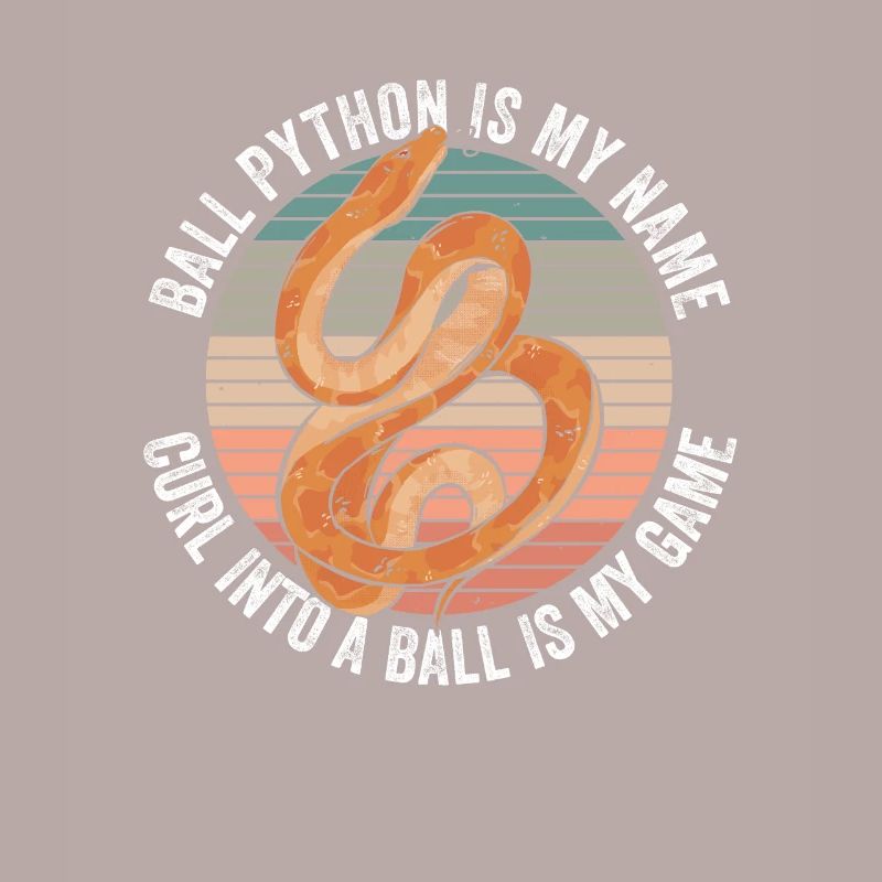 Königspython Bananenkugel Python