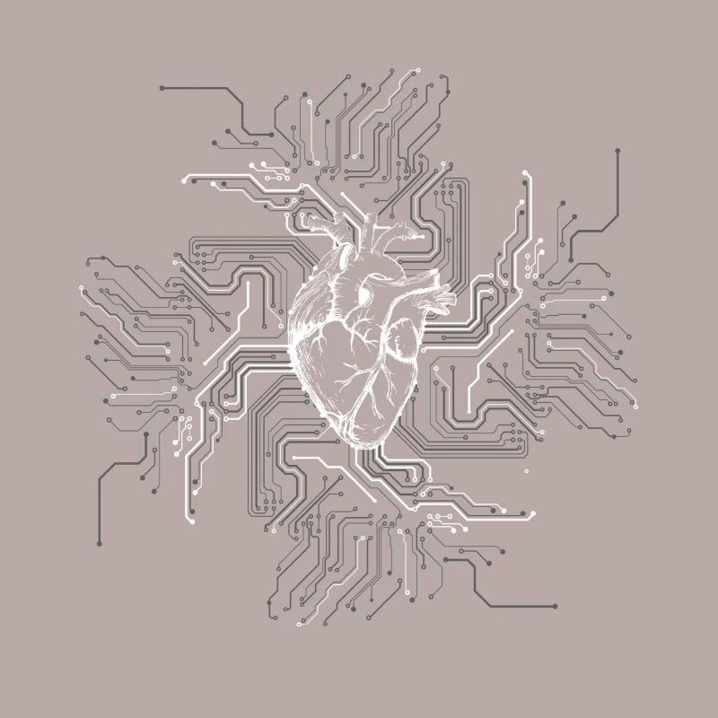 Anatomical Heart CPU Processor PCB Board Computer