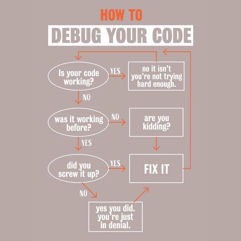 "Comment déboguer votre code" Funny Programmer Coding