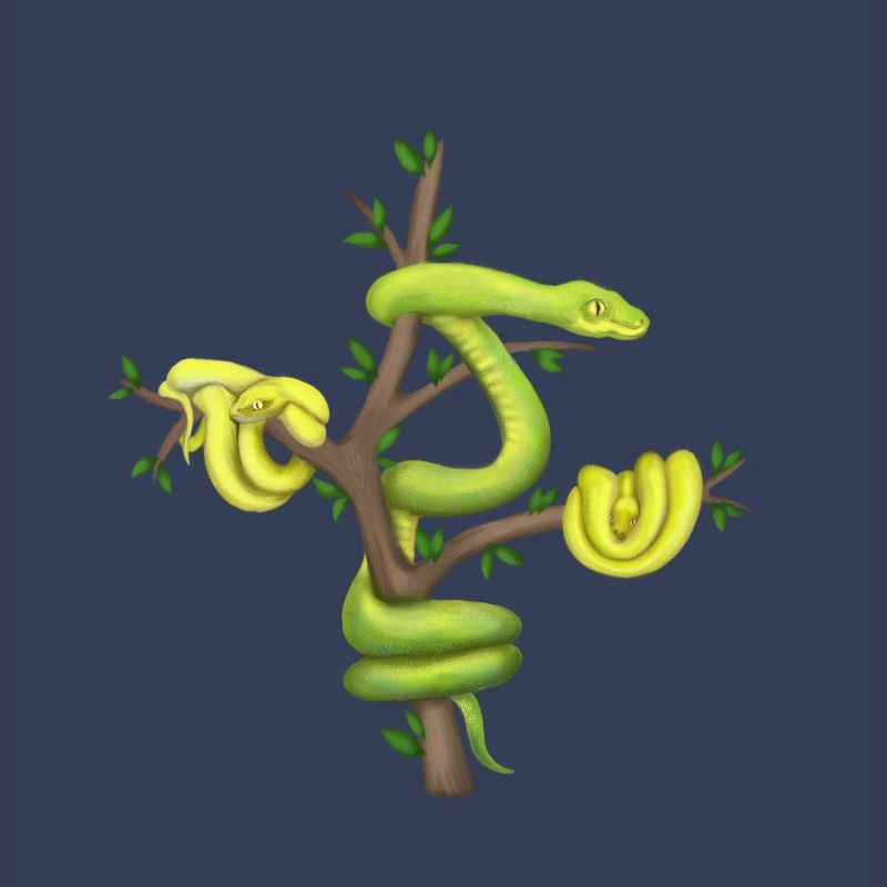 Der Grüne Python - Baumpython