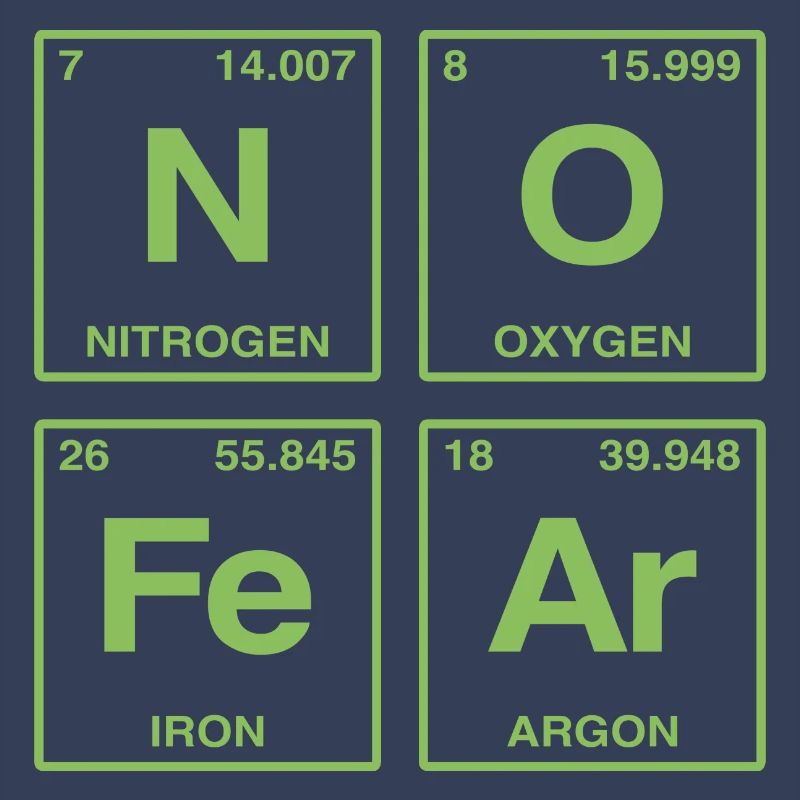 NO FEAR - avec des éléments du système de perdiode