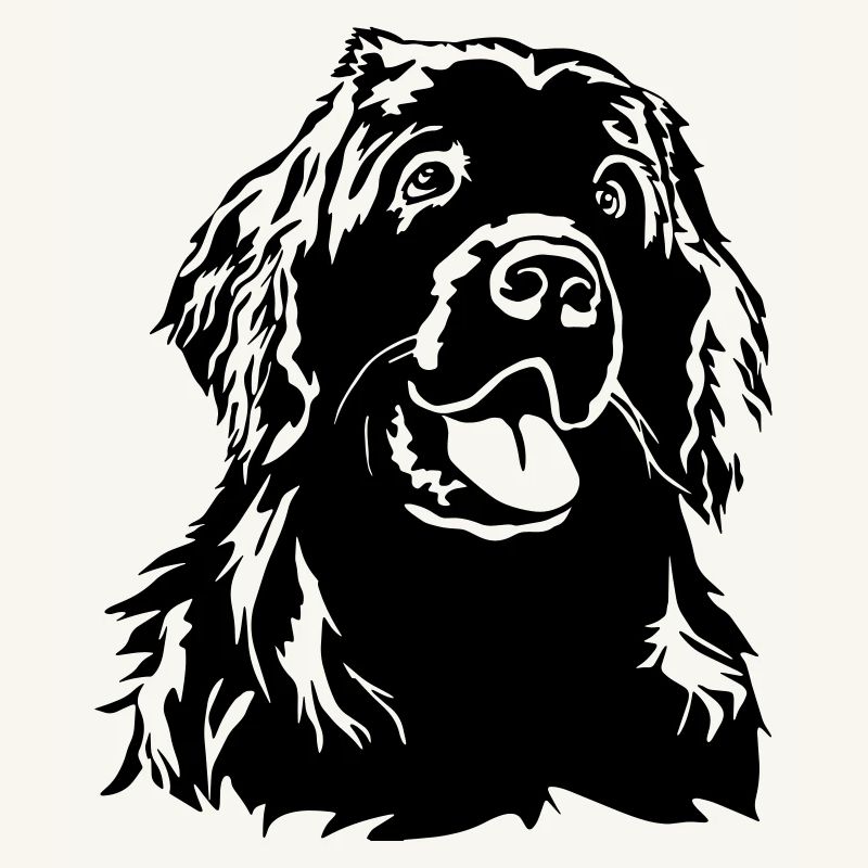 Newfoundland head