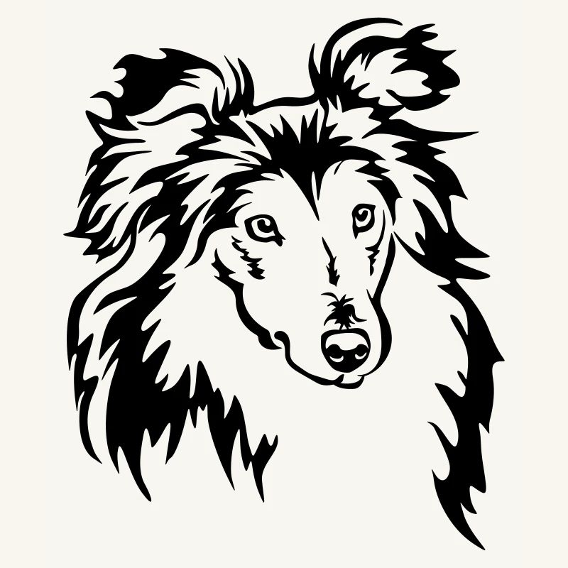 Sheltie Head