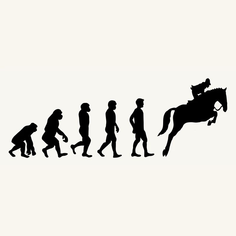Reiter Evolution