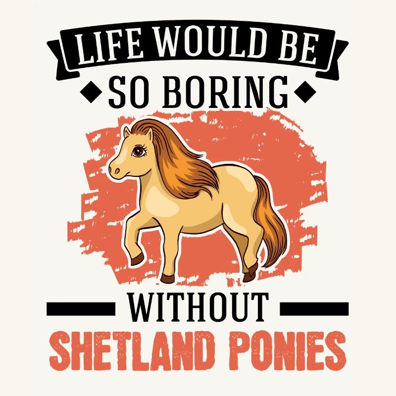Shetland Pony Geschenk Shetty