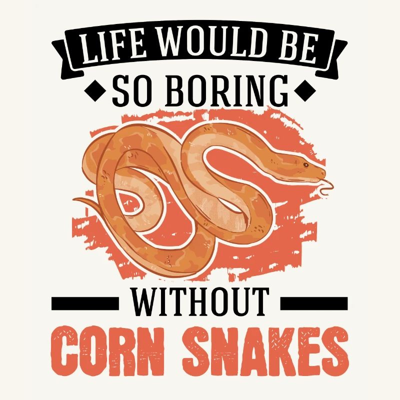 Corn Snake Cadeau Corn Snake