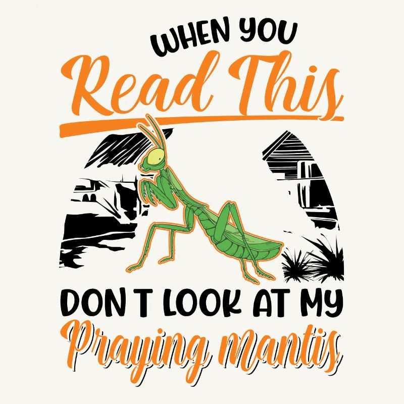 Praying mantis Gift Mantis Mantis